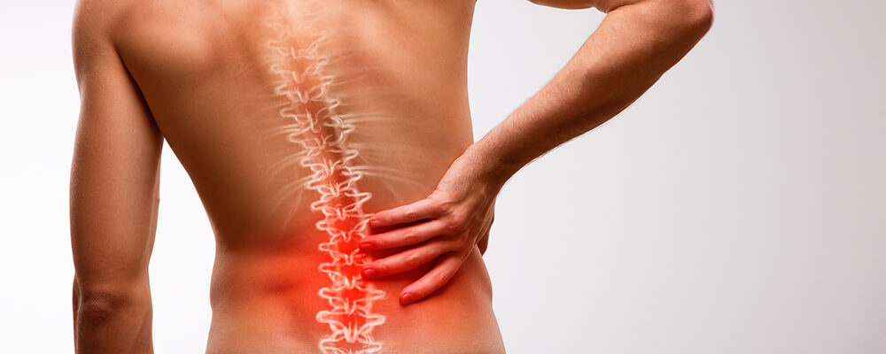 Back Pain: Who Can You Rely on To Have Your Back?